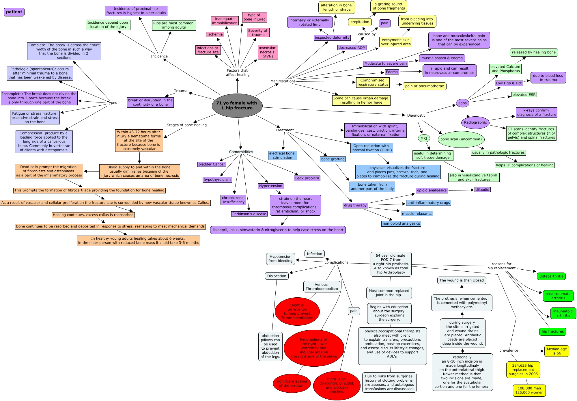 hip-fracture-concept-map-diigo-groups